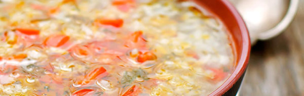 Turkey and Wild Rice Soup