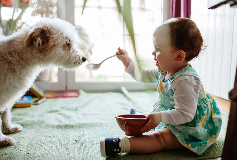 Help! My Child Ate Dog Poop! My Vanderbilt Health