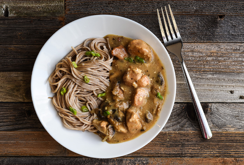 Chicken stroganoff and noodles in a white bowl