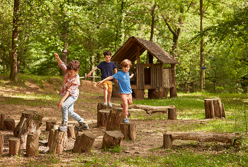 3 children play along a wooded trail