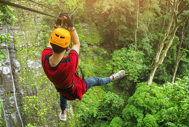 Man zip lining in a tropical forest.