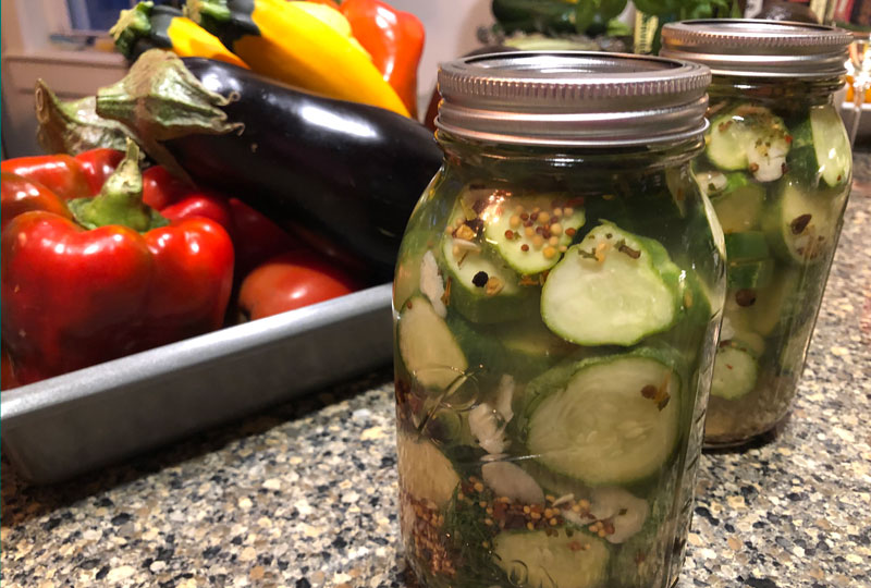 How to make refrigerator dill pickles at home.