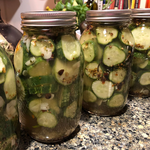 How to make refrigerator dill pickles at home.