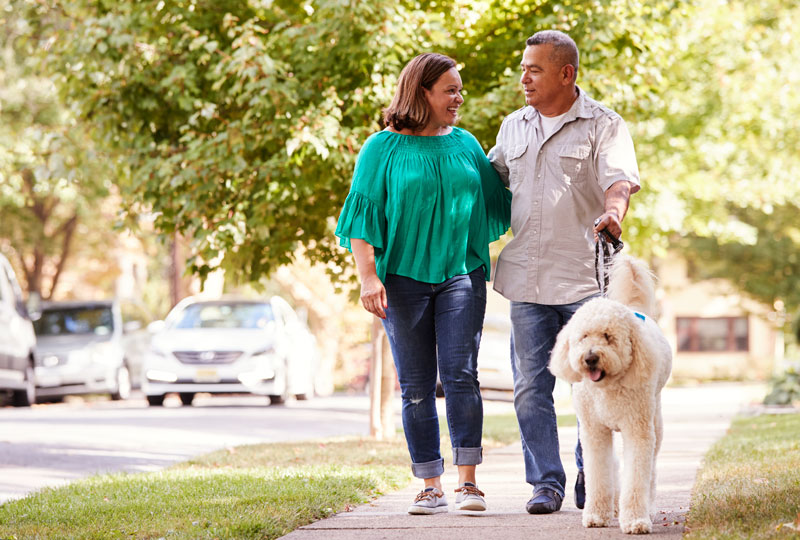 Latino couple walking on a sidewalk with a dog