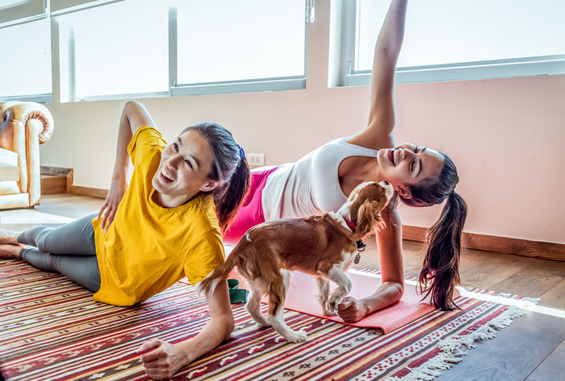 Two young women hold yoga poses in their living room while laughing at a dog.