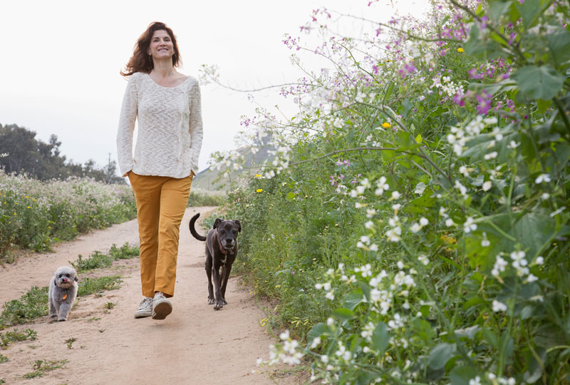 Woman walking along a dirt path with two dogs