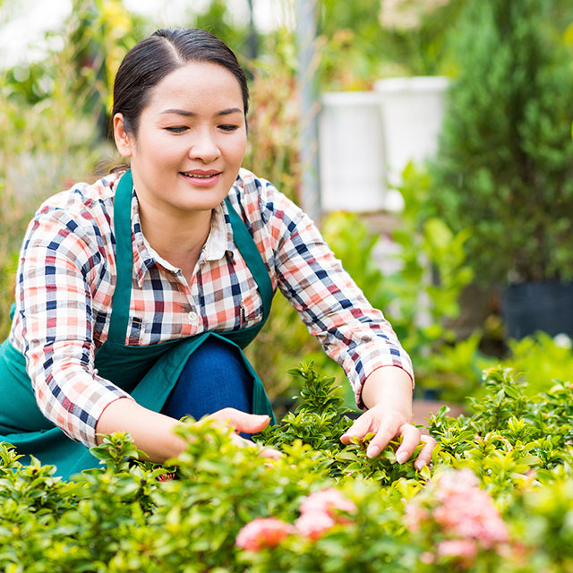 A young Asian woman works in a garden.