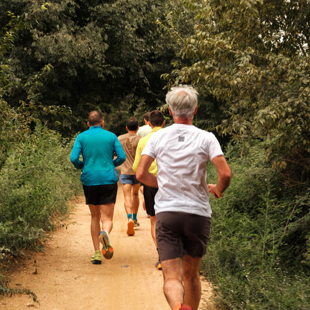 Photo taken from behind of a group of middle aged or older men running along a wooded trail.