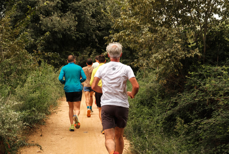 Photo taken from behind of a group of middle aged or older men running along a wooded trail.