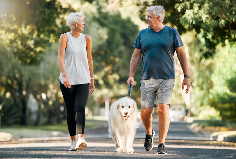 A retired couple walk their dog outside.