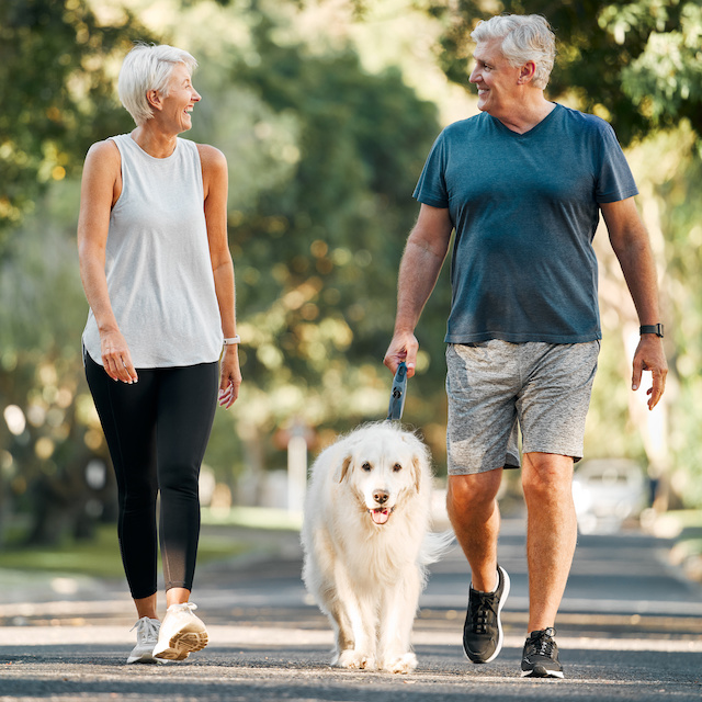 A retired couple walk their dog outside.